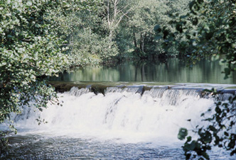 Presa na área recreativa - deportiva do rio Furelos.